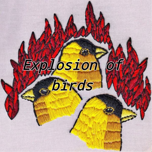 Explosion of Birds