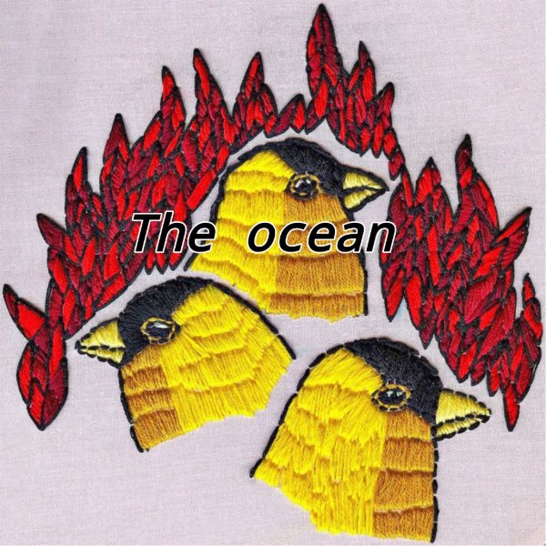 The Ocean