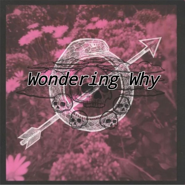 Wondering Why