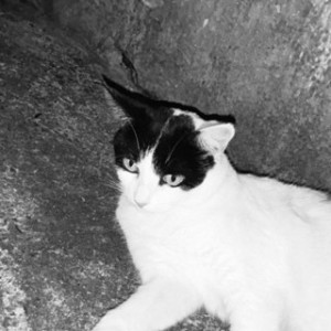 Borintwo