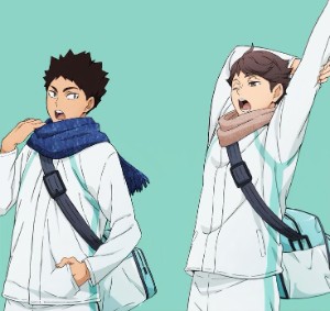 Iwaoi