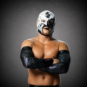 BUSHI
