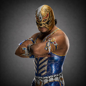 Gran Metalik