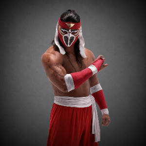 Hayabusa