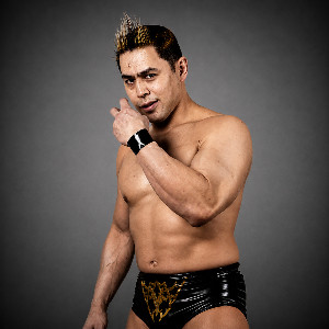 TAKA Michinoku