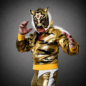Tiger Mask IV