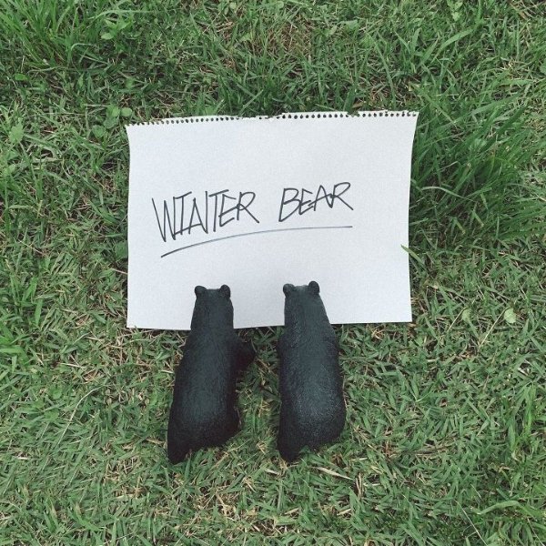 winter bear