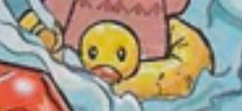 Rubber Duck floatie