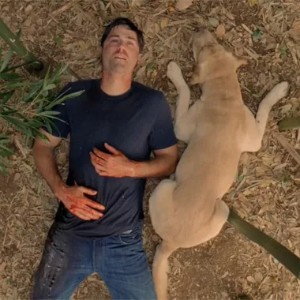 The End (6x17)