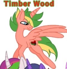 Timber Wood