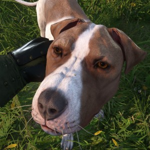 Mutt