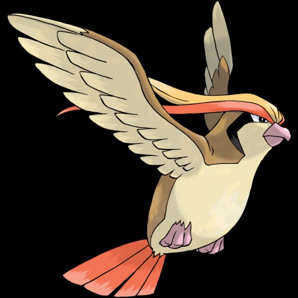0018 Pidgeot