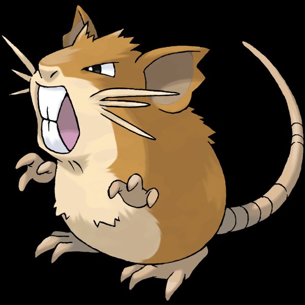 0020 Raticate