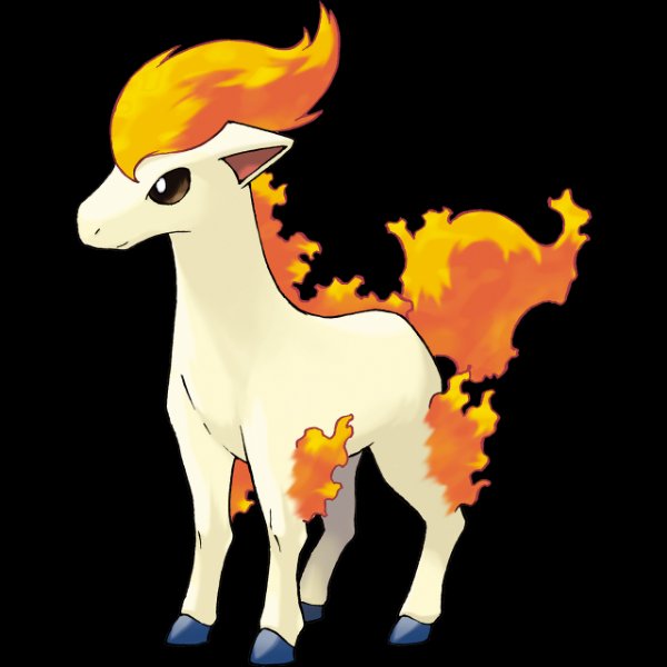 0077 Ponyta