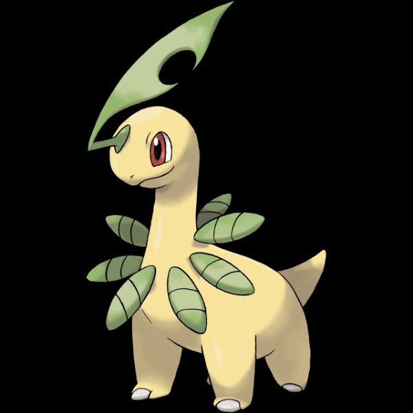0153 Bayleef