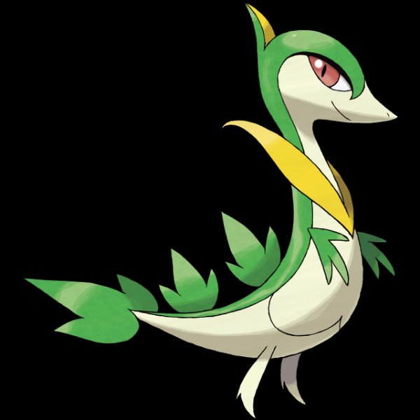 0496 Servine