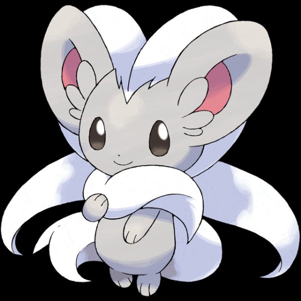 0573 Cinccino