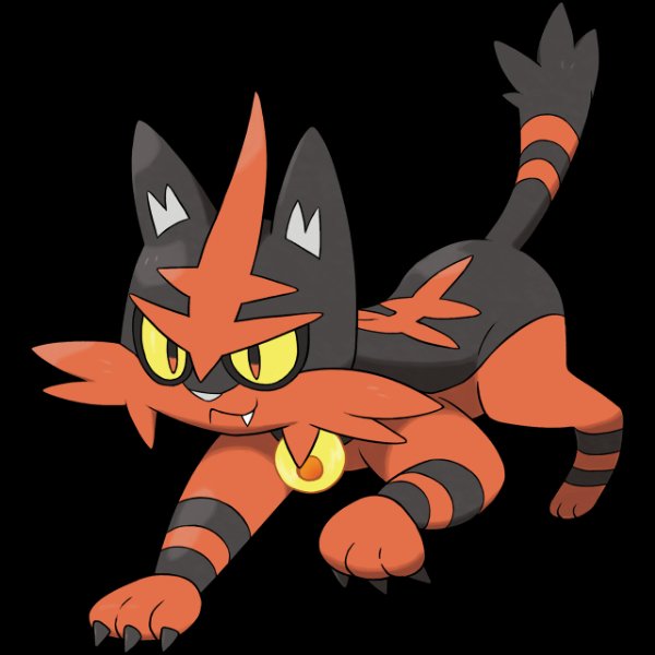 0726 Torracat
