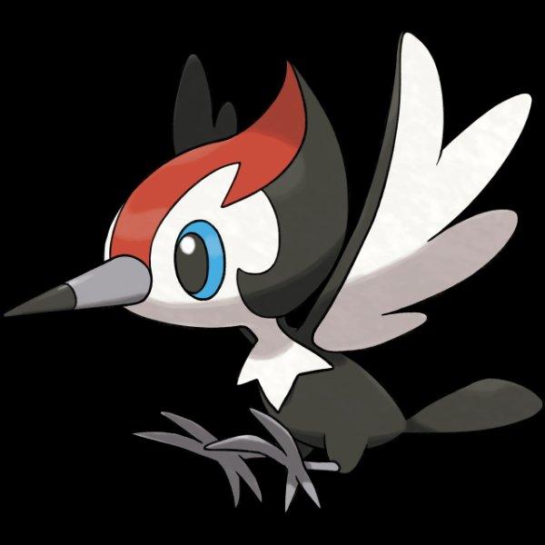 0731 Pikipek