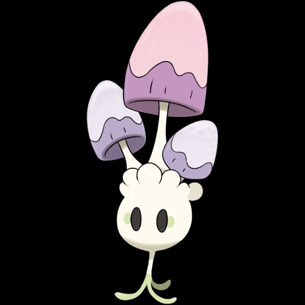 0755 Morelull