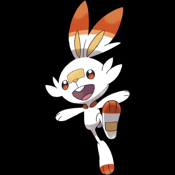 0813 Scorbunny
