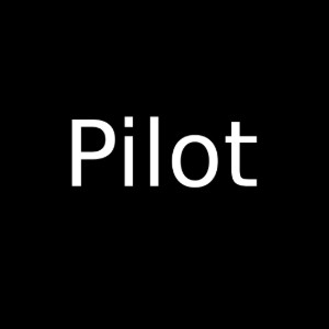 pilot
