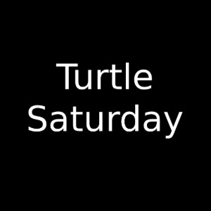 saturday