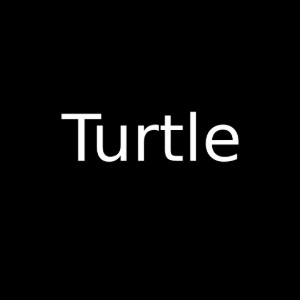 turtle