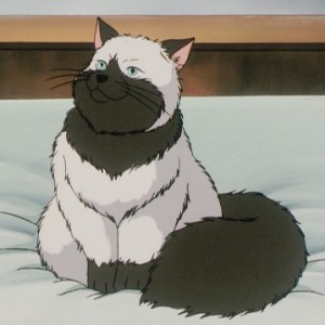 Admiral