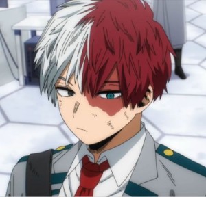 Shoto todoroki (MHA)