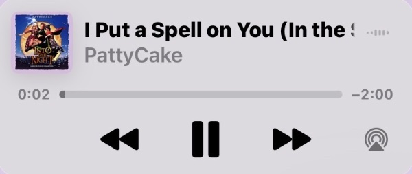 I Put a Spell on You