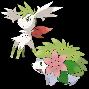Shaymin