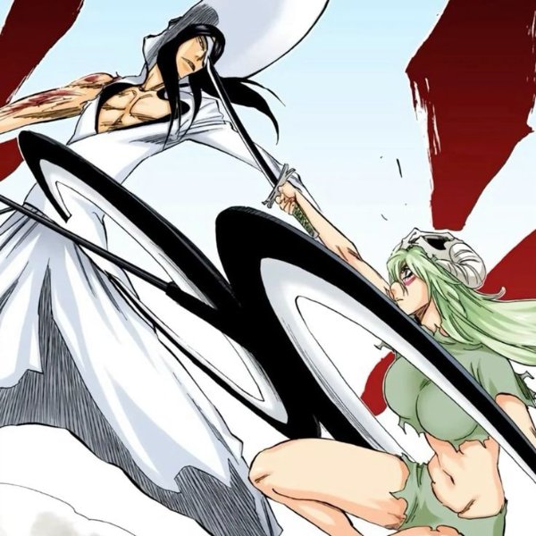 Nnoitra x Nelliel
