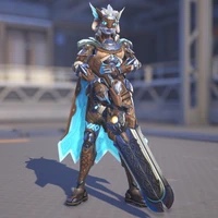 Winter Guardian