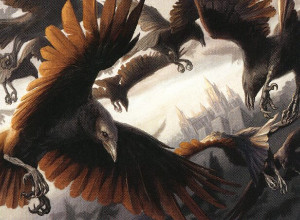 Birds