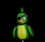 Parrot