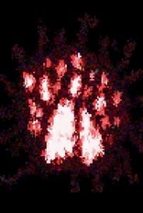 Hide