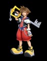 Sora
