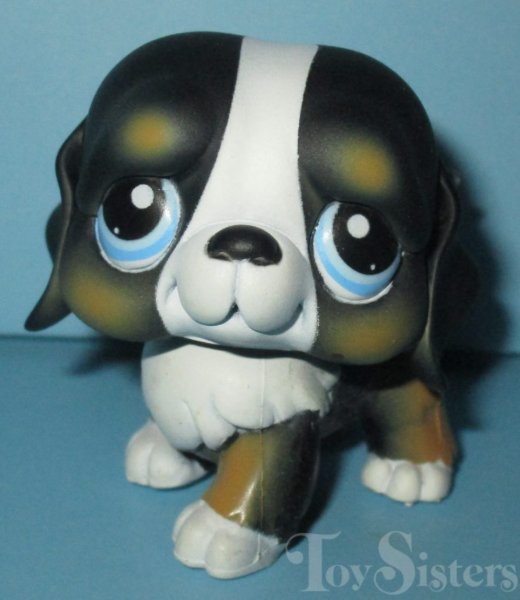 #145