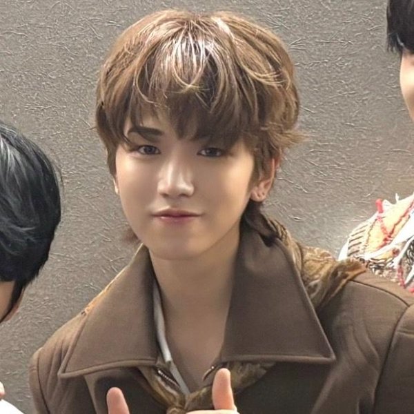 poodle riwoo