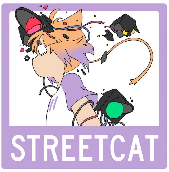 streetcat - FLAVOR FOLEY