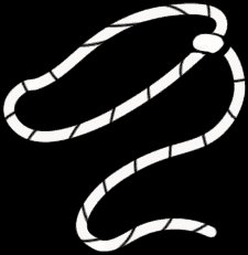Lasso