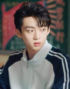 Wu Bi