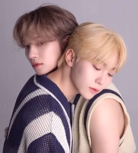 SooKwan (Joshua, Seungkwan)