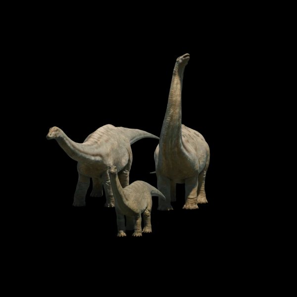 Apatosaurus