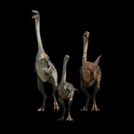 Archaeornithomimus