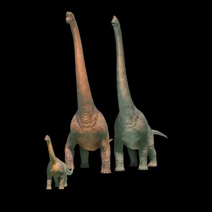 Brachiosaurus