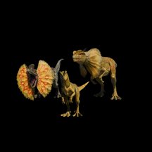 Dilophosaurus