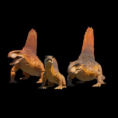 Dimetrodon