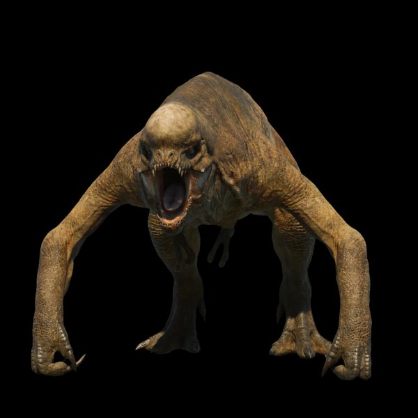 Distortus Rex